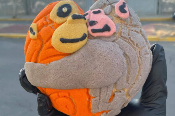 ¡Para morir de ternura! el macaco japonés que se ha hecho viral llegó a México en forma de concha. FOTO: Redes sociales.