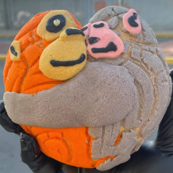 ¡Para morir de ternura! el macaco japonés que se ha hecho viral llegó a México en forma de concha. FOTO: Redes sociales.