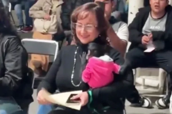 Silvia Iliana. Foto: Diario Tribuna.