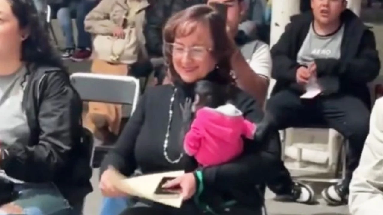 Silvia Iliana. Foto: Diario Tribuna.