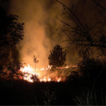 El incendio en el Cerro Zapotecas está controlado al 95 %. Brigadistas de San Pedro Cholula y del Estado trabajan en la liquidación total. FOTO: Ayto. de Puebla.