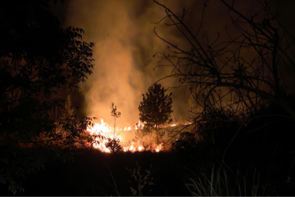El incendio en el Cerro Zapotecas está controlado al 95 %. Brigadistas de San Pedro Cholula y del Estado trabajan en la liquidación total. FOTO: Ayto. de Puebla.