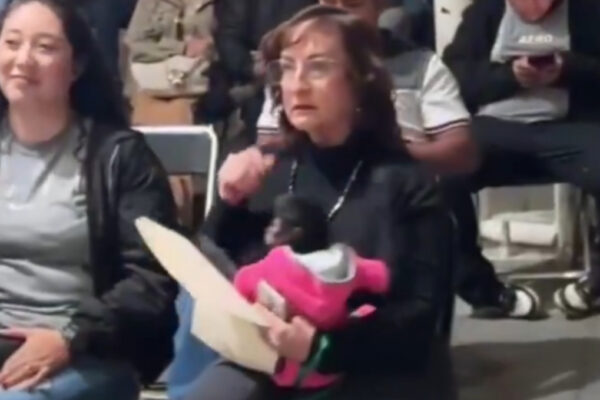 La Procuraduría Federal de Protección al Ambiente presentó una denuncia penal por la posesión ilegal de un mono araña en Ocotlán, Jalisco, tras el caso que se difundió en redes sociales.