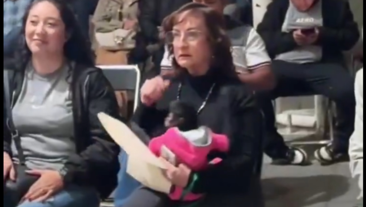 Profepa presenta denuncia penal por posesión ilegal de mono araña en Ocotlán, Jalisco