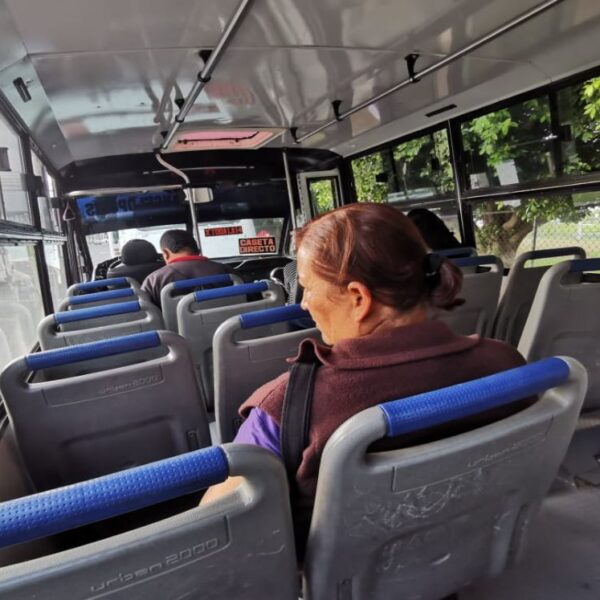 Transporte. Foto: Milenio.