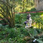 La Comisión de Búsqueda y el colectivo "Buscadores de Paz" localizaron restos óseos en Venta Grande, Huauchinango. FOTO: X @busquedagopue.