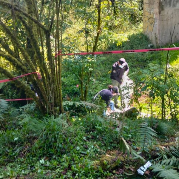 La Comisión de Búsqueda y el colectivo "Buscadores de Paz" localizaron restos óseos en Venta Grande, Huauchinango. FOTO: X @busquedagopue.