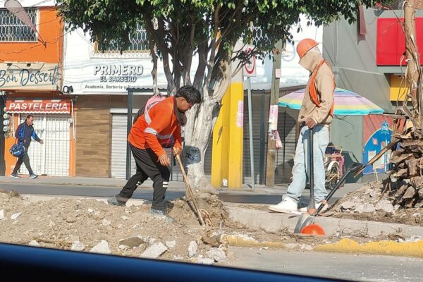 El gobierno de Puebla investigará la tala ilegal en la Calzada Ignacio Zaragoza y se deslindó de los hechos.