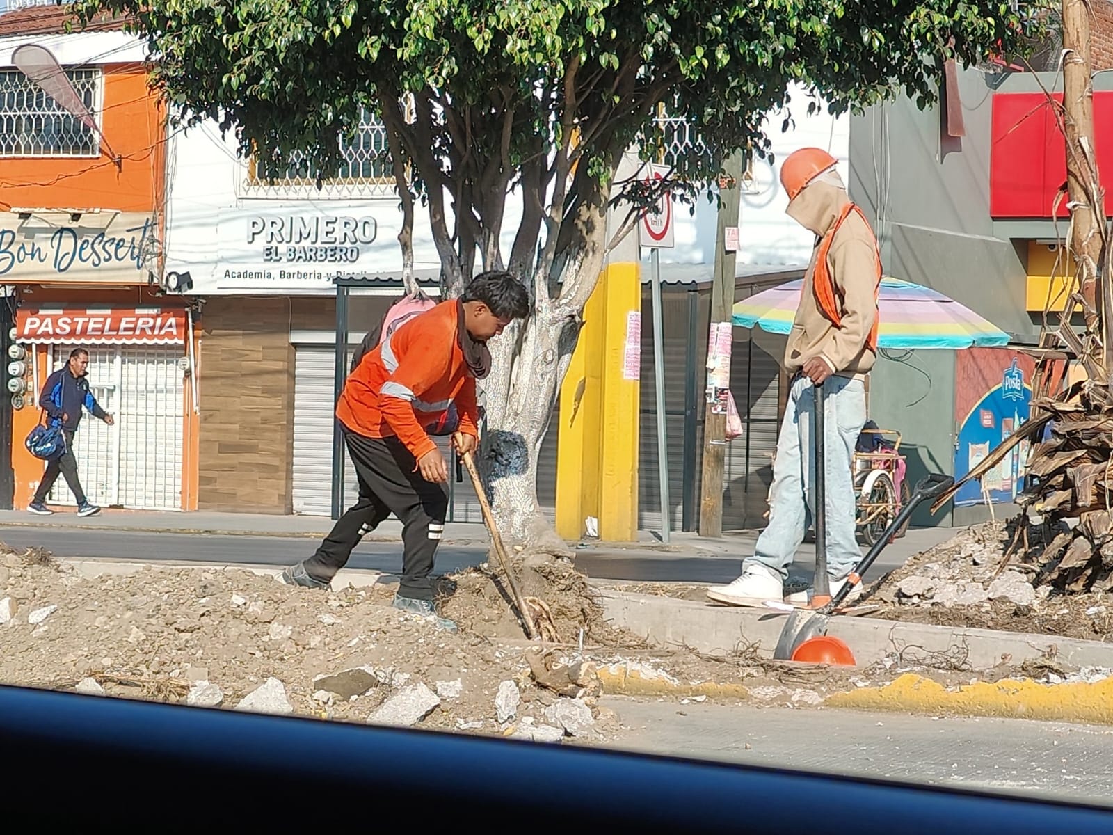 El gobierno de Puebla investigará la tala ilegal en la Calzada Ignacio Zaragoza y se deslindó de los hechos.
