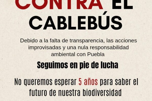 Colectivos convocan a nueva protesta contra el Cablebús en Puebla este 22 de marzo; partirá del Parque Juárez.