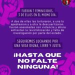 Imagen: Frente Feminista Radical