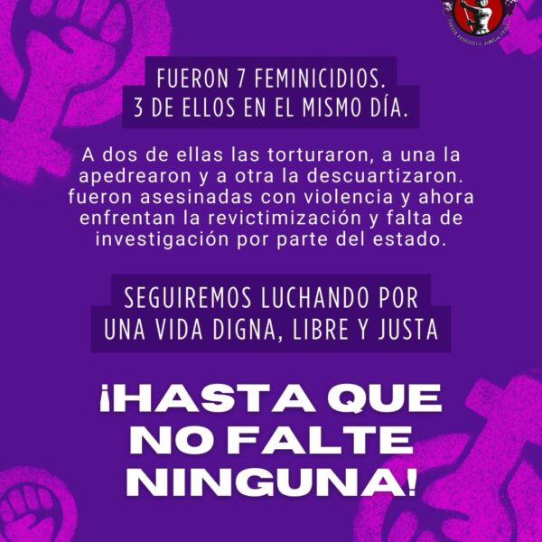 Imagen: Frente Feminista Radical