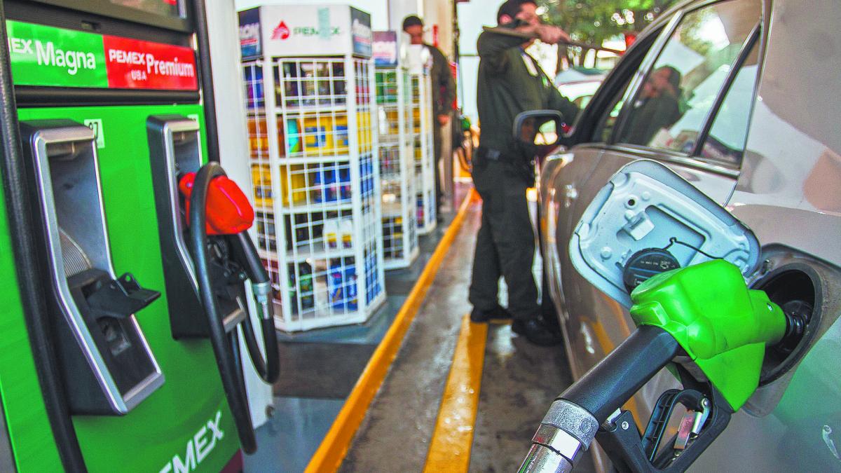 Foto: el Economista.