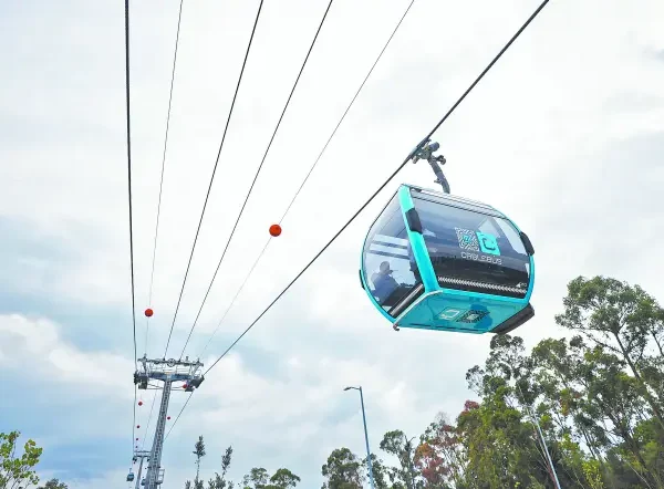 El proyecto del Cablebús Puebla continúa en análisis técnico y el posible impacto ambiental se redujo de 746 a menos de 116 árboles.