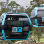 Fijan fecha: el gobierno de Puebla presentará el análisis final del impacto forestal del cablebús el 30 o 31 de marzo. FOTO: Publímetro.