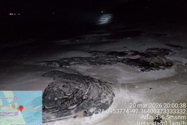 El derrame petrolero en el Golfo de México sigue avanzando y ya cubre cientos de kilómetros de costa. FOTO: Quadratín Veracruz.