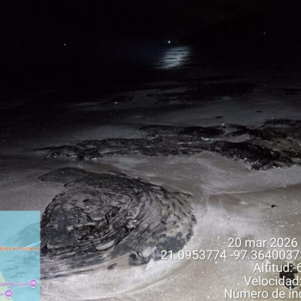 El derrame petrolero en el Golfo de México sigue avanzando y ya cubre cientos de kilómetros de costa. FOTO: Quadratín Veracruz.