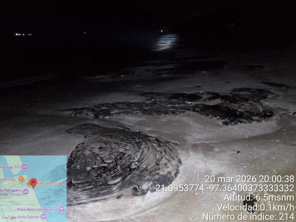 Derrame petrolero se extiende 630 km en el Golfo de México y afecta arrecifes