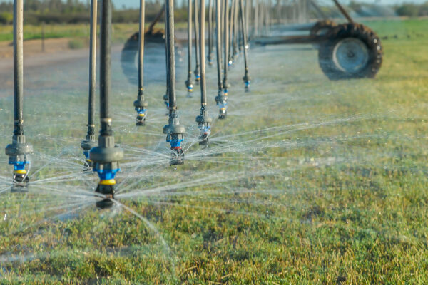 En mayo inicia en Puebla un nuevo sistema de riego en Valsequillo que permitirá ahorrar agua y apoyar a miles de productores. FOTO: Gob MX.