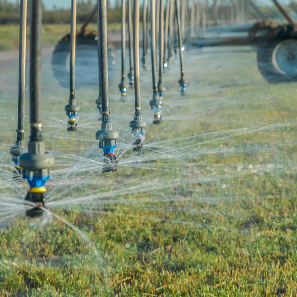 En mayo inicia en Puebla un nuevo sistema de riego en Valsequillo que permitirá ahorrar agua y apoyar a miles de productores. FOTO: Gob MX.