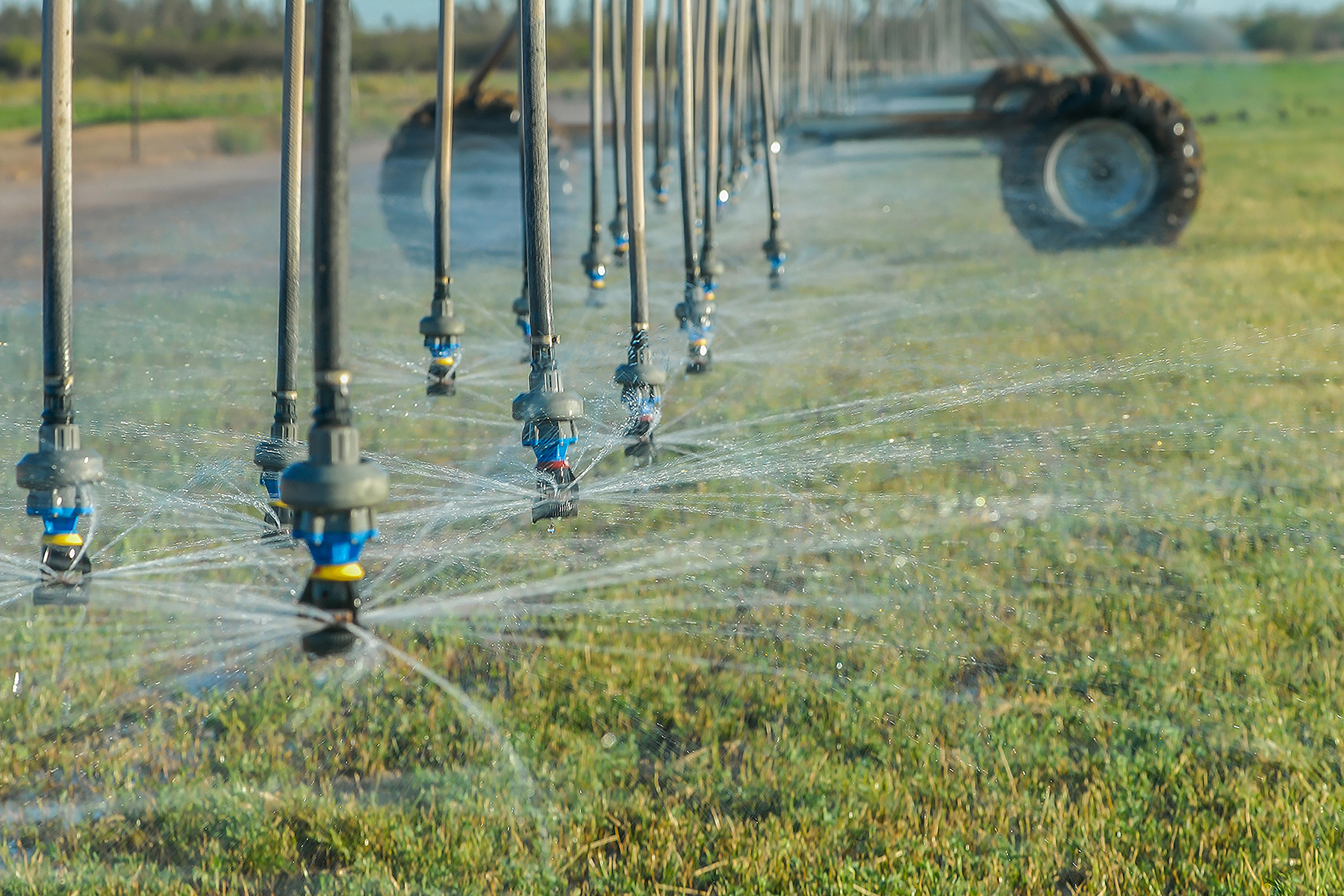 Puebla alista megaproyecto de riego en Valsequillo; operará en mayo y tecnificará hasta 22 mil hectáreas