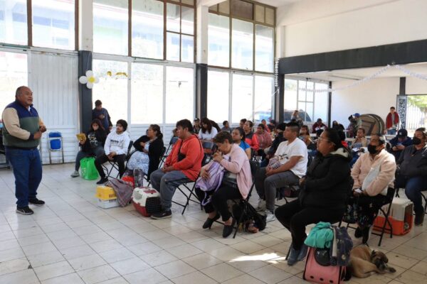 El Gobierno de la Ciudad de Puebla informó que durante febrero realizó 8 mil 632 acciones en el marco de las Jornadas de Bienestar Animal.