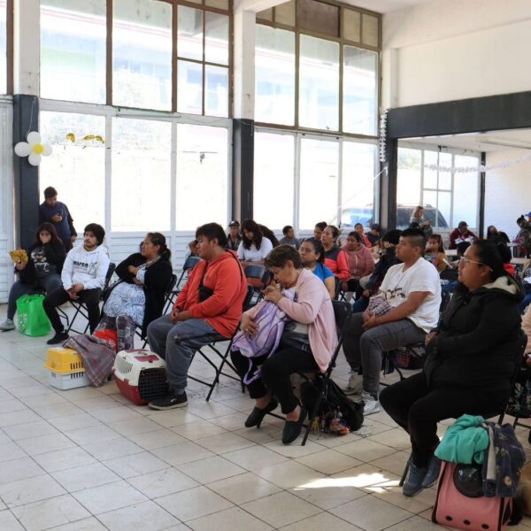 El Gobierno de la Ciudad de Puebla informó que durante febrero realizó 8 mil 632 acciones en el marco de las Jornadas de Bienestar Animal.