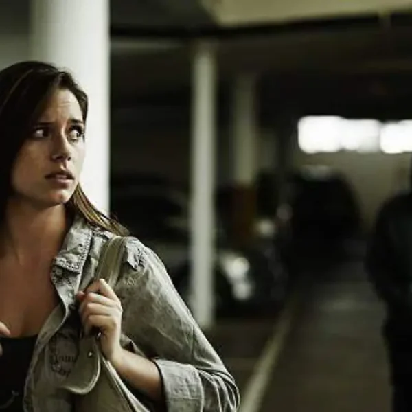 La Cámara de Diputados aprobó la iniciativa conocida como Ley Valeria, una reforma que busca tipificar el acecho como delito en el Código Penal Federal.