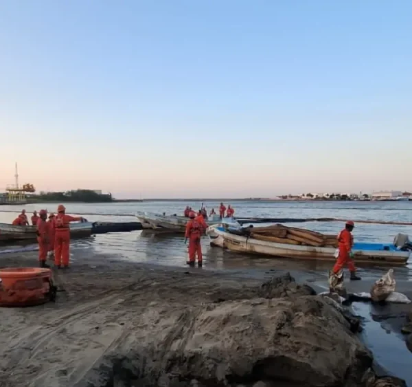 Puebla se une a la colecta nacional de cabello para limpiar el derrame de petróleo en Veracruz.