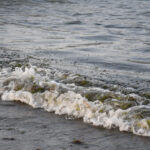 Claudia Sheinbaum desmintió una imagen difundida por Greenpeace México sobre un supuesto derrame masivo en el Golfo de México y la calificó como “falsa”. FOTO: EFE/ Miguel Victória.