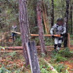 Senado aprueba ampliar funciones de la Guardia Nacional para proteger bosques y áreas naturales Guardia Nacional.