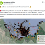 El derrame de petróleo en el Golfo de México ya alcanza 630 km de costa y Greenpeace México acusó falta de control y atención desigual en las labores de limpieza. IMAGEN: Captura de pantalla.