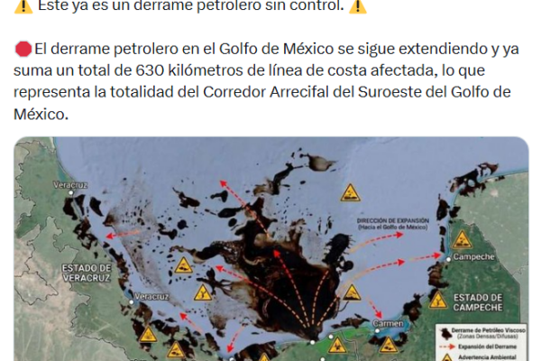 El derrame de petróleo en el Golfo de México ya alcanza 630 km de costa y Greenpeace México acusó falta de control y atención desigual en las labores de limpieza. IMAGEN: Captura de pantalla.