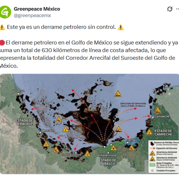 El derrame de petróleo en el Golfo de México ya alcanza 630 km de costa y Greenpeace México acusó falta de control y atención desigual en las labores de limpieza. IMAGEN: Captura de pantalla.