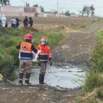 Autoridades investigan la muerte de siete perros en Huejotzingo con signos de crueldad animal. FOTO: Redes sociales.