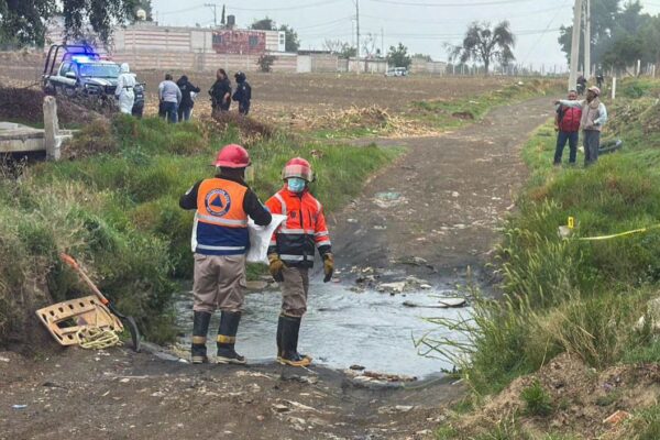 Autoridades investigan la muerte de siete perros en Huejotzingo con signos de crueldad animal. FOTO: Redes sociales.