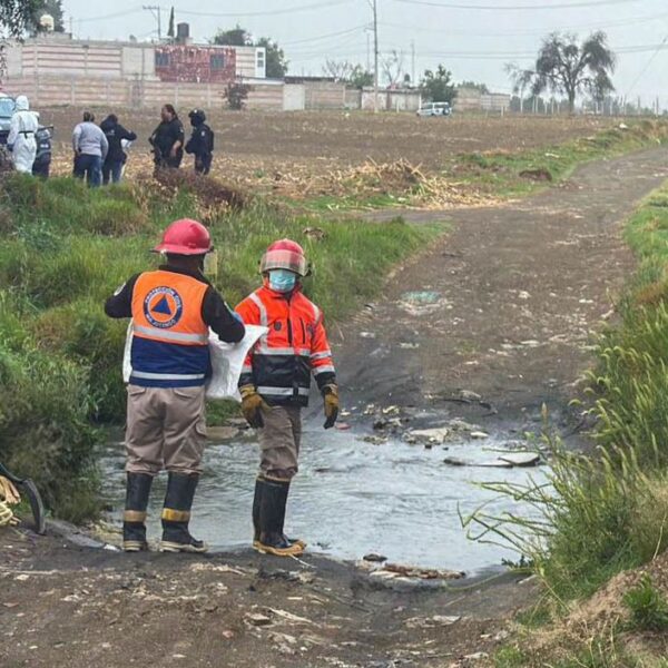Autoridades investigan la muerte de siete perros en Huejotzingo con signos de crueldad animal. FOTO: Redes sociales.