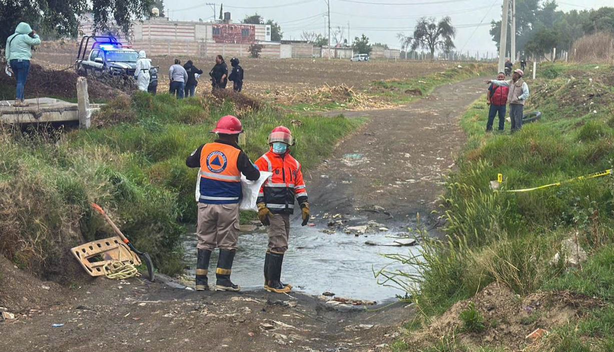 Autoridades investigan la muerte de siete perros en Huejotzingo con signos de crueldad animal. FOTO: Redes sociales.