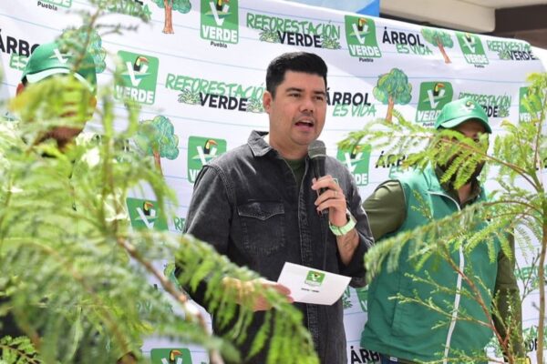 El líder del Partido Verde, Jimmy Natale, confirmó que diputados y alcaldes podrán buscar la reelección, pero ¡ojo!, nadie tiene el lugar asegurado. FOTO: X @natale_jimmy.