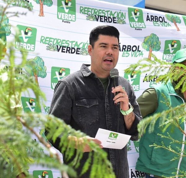 El líder del Partido Verde, Jimmy Natale, confirmó que diputados y alcaldes podrán buscar la reelección, pero ¡ojo!, nadie tiene el lugar asegurado. FOTO: X @natale_jimmy.