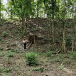 INAH confirma hallazgo de ciudad maya “El Jefeciño” en Quintana Roo. FOTO: INAH.