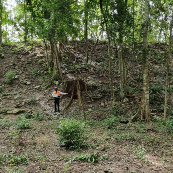 INAH confirma hallazgo de ciudad maya “El Jefeciño” en Quintana Roo. FOTO: INAH.