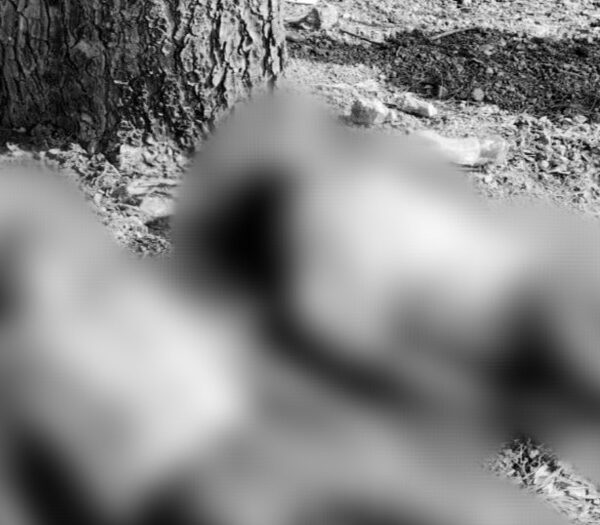 Sujetos armados incendiaron una casa en San Vicente Boquerón para llevarse a dos hermanos por la fuerza.