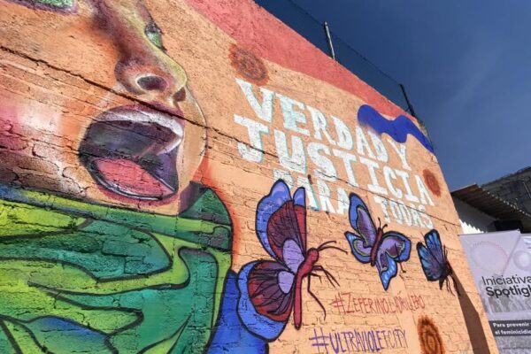 Cámara de Diputados aprueba reforma para homologar delito de feminicidio; la propuesta es de Claudia Sheinbaum. FOTO: vía Spotlight Initiative.