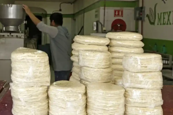 Gobierno de México descartó aumentos en el precio de la tortilla, asegurando que los costos del maíz y la harina se mantienen estables. FOTO: Agencia Enfoque.