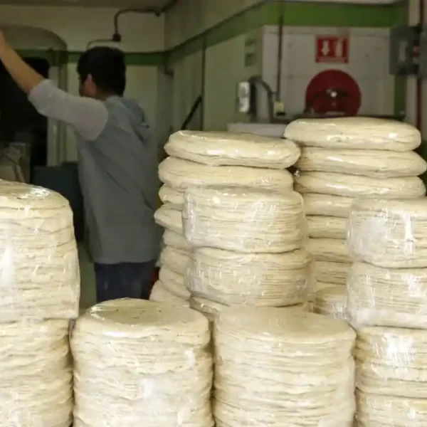 Gobierno de México descartó aumentos en el precio de la tortilla, asegurando que los costos del maíz y la harina se mantienen estables. FOTO: Agencia Enfoque.