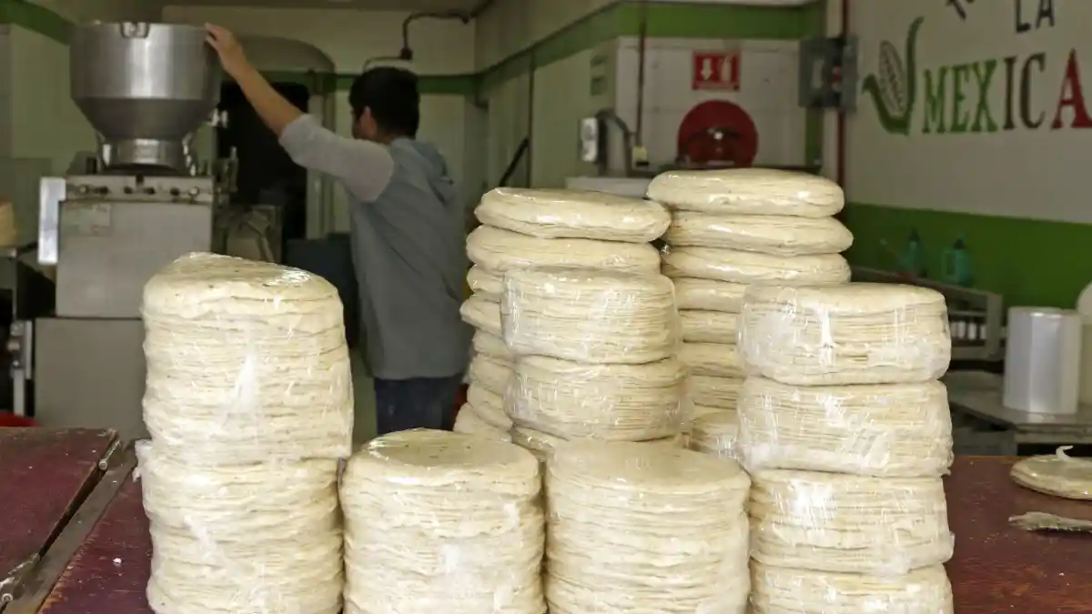 Desmienten AGRICULTURA y Profeco aumento en precio de la tortilla