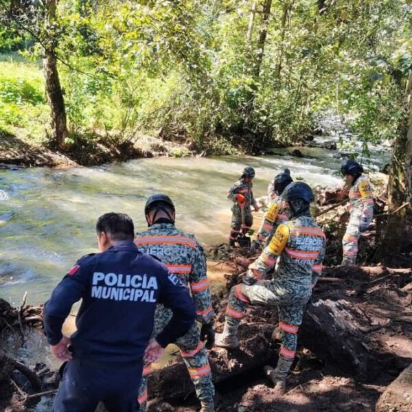 Refuerzan búsqueda de Liam Tadeo González Lechuga en la Sierra Norte tras casi seis meses sin rastro. FOTO: Milenio.