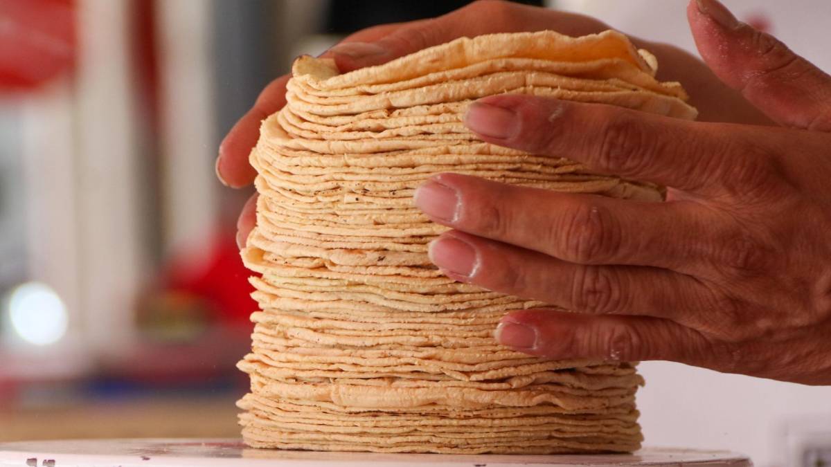 A partir del 15 de abril, el precio de la tortilla subiría hasta 4 pesos por kilo