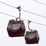 El Gobierno de Puebla confirmó la intervención de 97 árboles para el desarrollo de obras del cablebús.